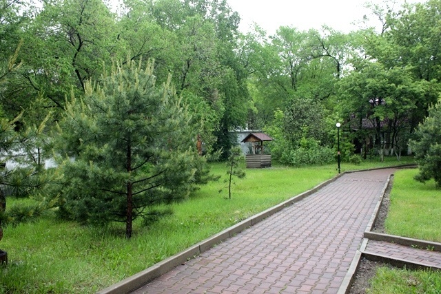 В южных и части центральных районов Хабаровского края возможны кратковременные дожди и ливни