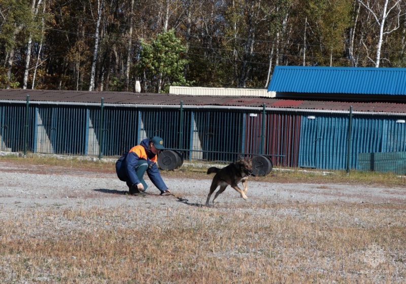 Урок безопасности ко дню ГО и познавательную экскурсию провели в хабаровском поисково-спасательном отряде МЧС России