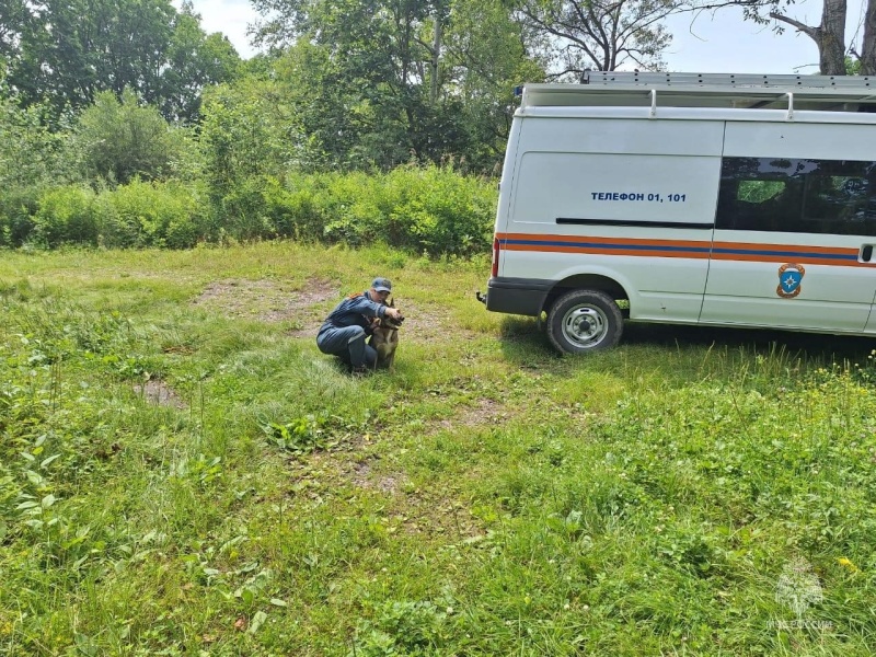 Более 130 человек, в том числе 17 детей получили помощь хабаровских спасателей МЧС России с начала года